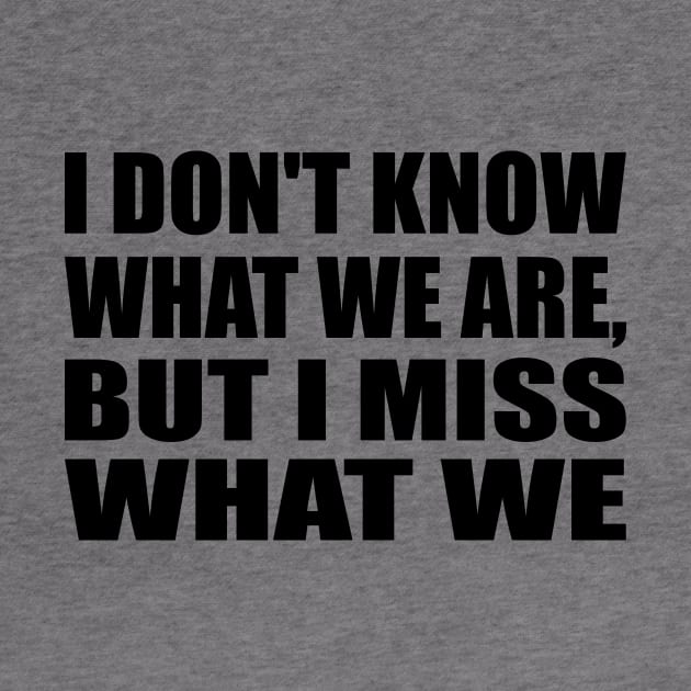 I don't know what we are, but i miss what we were by Geometric Designs